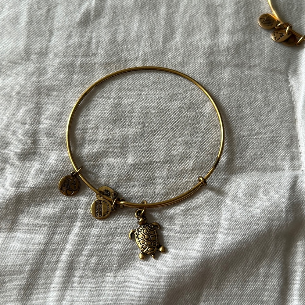 Gold sea turtle, Alex and a Ani bracelet